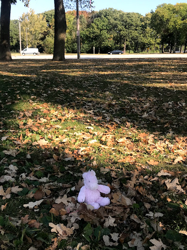 Public Golf Course «Lincoln Park Golf Course», reviews and photos, 1000 W Hampton Ave, Glendale, WI 53209, USA