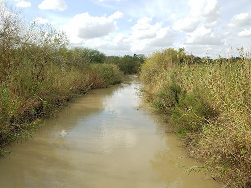 Park «Harlingen Thicket», reviews and photos, 311 E Tyler Ave, Harlingen, TX 78550, USA