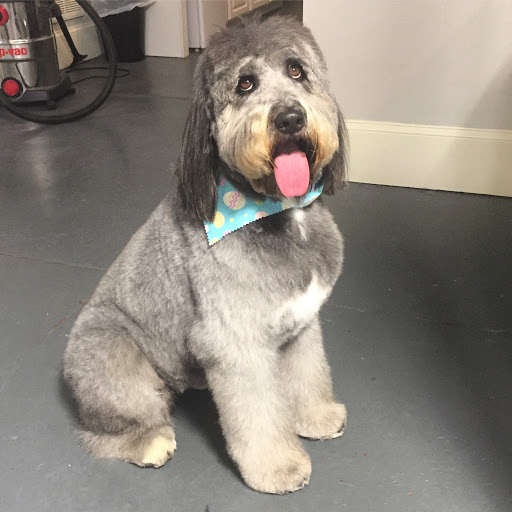 Pet Groomer «The Fetch House», reviews and photos, 130 W Washington St, Madison, GA 30650, USA