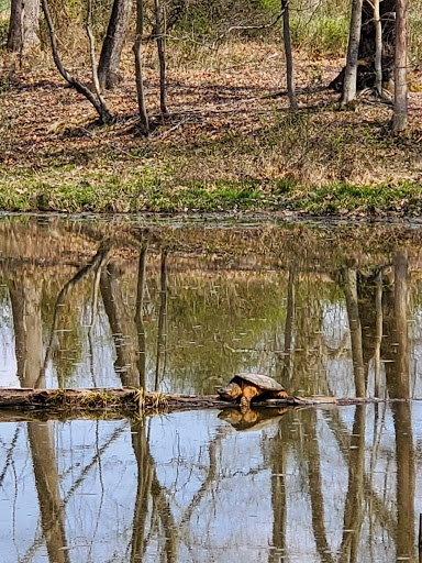 National Park «Friendship Hill National Historic Site», reviews and photos, 223 New Geneva Road, Point Marion, PA 15474, USA