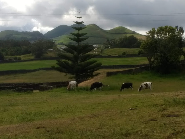 Quinta do Norte, R. do Monte Alegre, 9545-148 Capelas