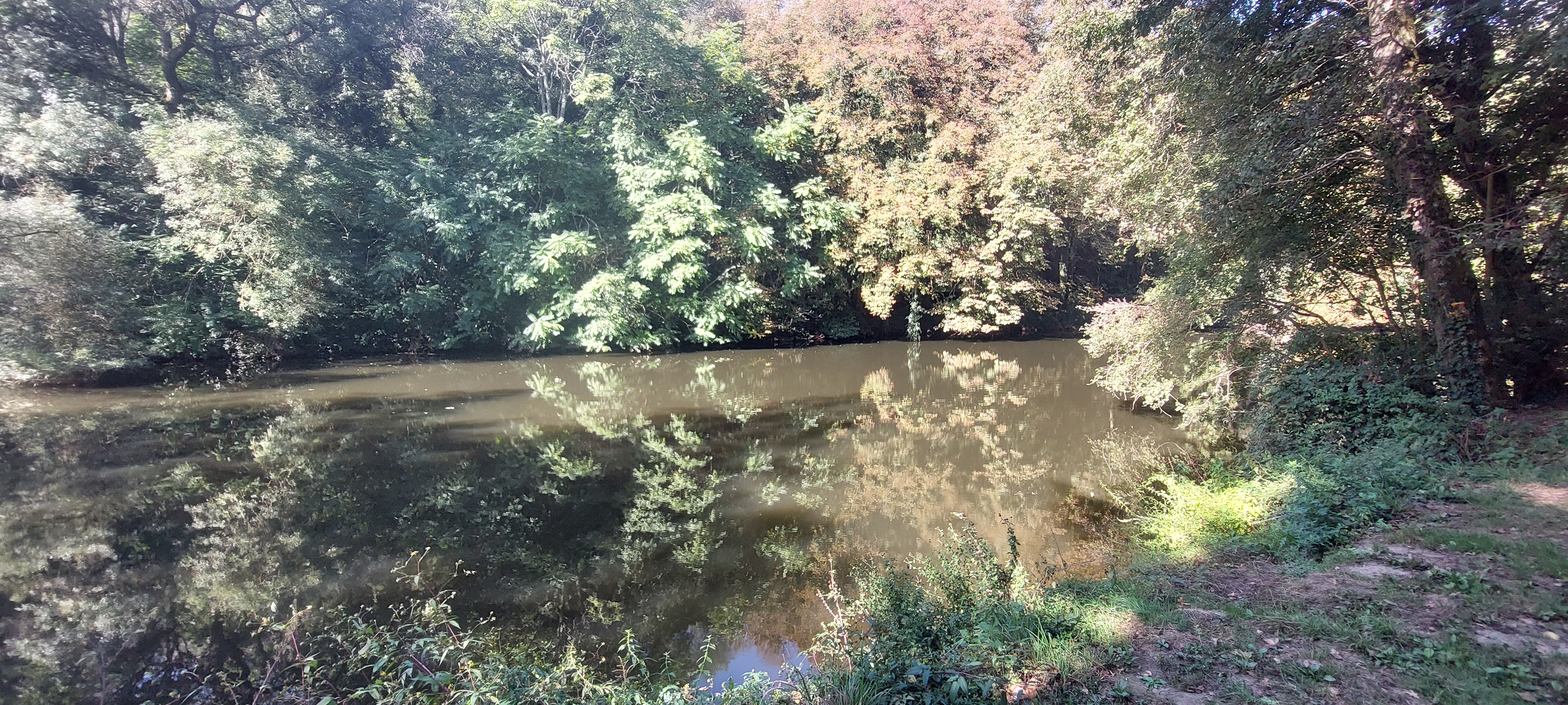 Photo n° 1 de l'avis de Stéphanie.O fait le 01/10/2023 à 15:09
