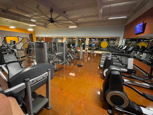 6347 Jarvis Ave, Newark, CA 94560, USA