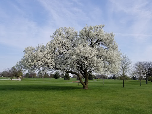 Golf Course «Green Meadows Golf Course», reviews and photos, 1555 Strasburg Rd, Monroe, MI 48161, USA