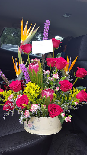 Florist «Blanca Flor Flower Shop», reviews and photos, 3102 Telephone Rd, Houston, TX 77023, USA