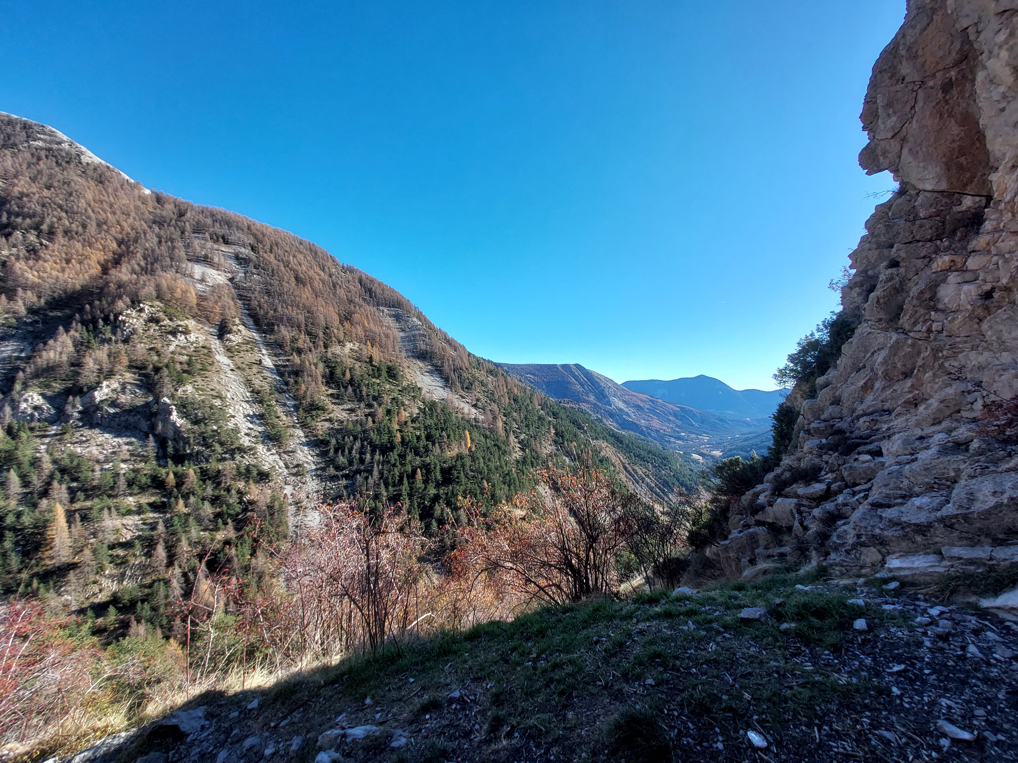 Photo n° 3 de l'avis de Lubin.e fait le 26/11/2023 à 14:48