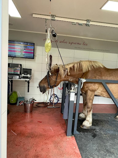 Tierarztpraxis, Pferdedentalpraxis Septemberwiese unter Beeskow, Brandenburg