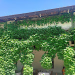 Photo n°2 de l'avis de Debora.a fait le 26/06/2022 à 21:08 sur le  Podere Miranta à Gaiano