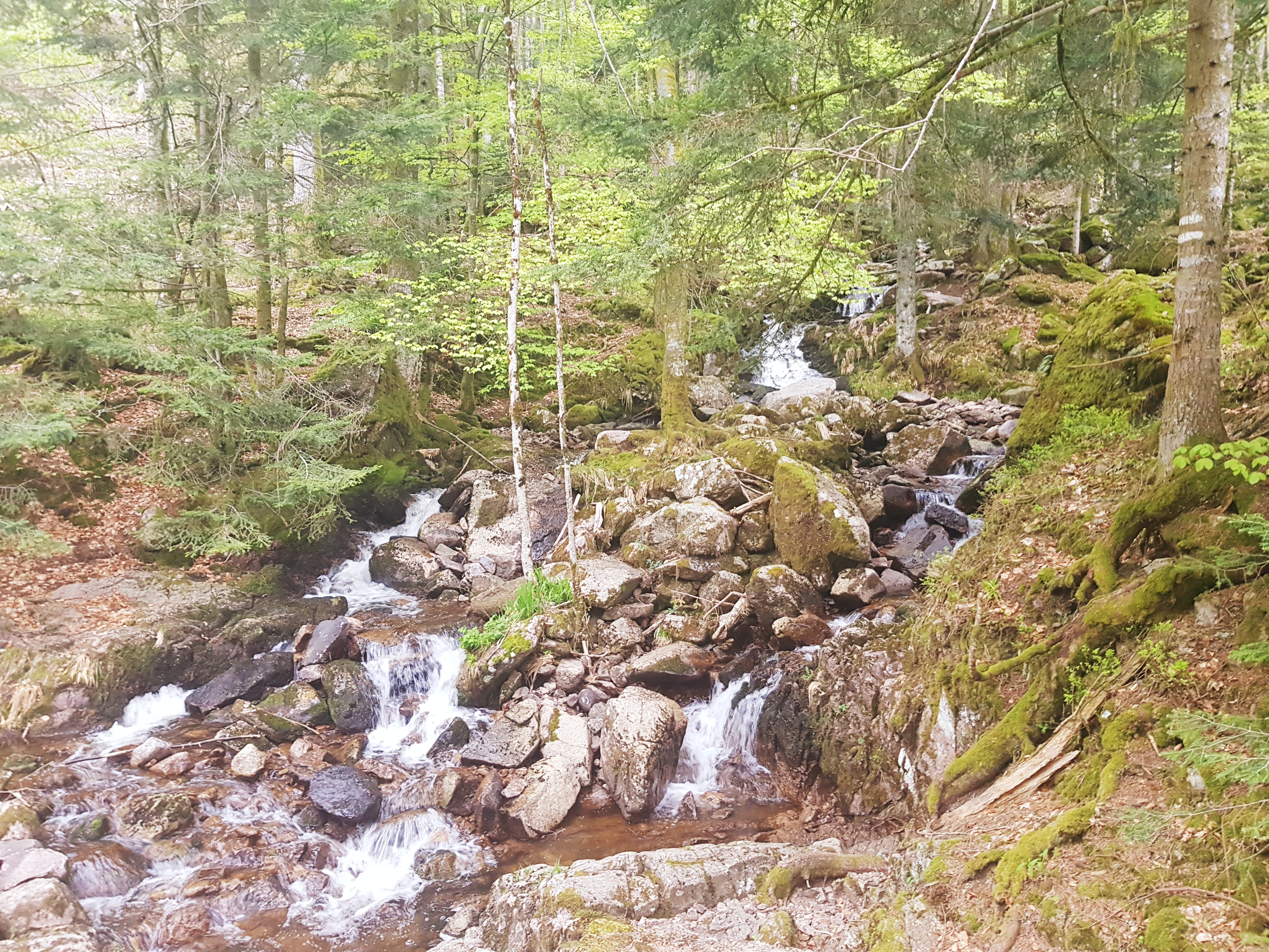 Photo n° 7 de l'avis de Delphine.A fait le 26/04/2018 à 05:39