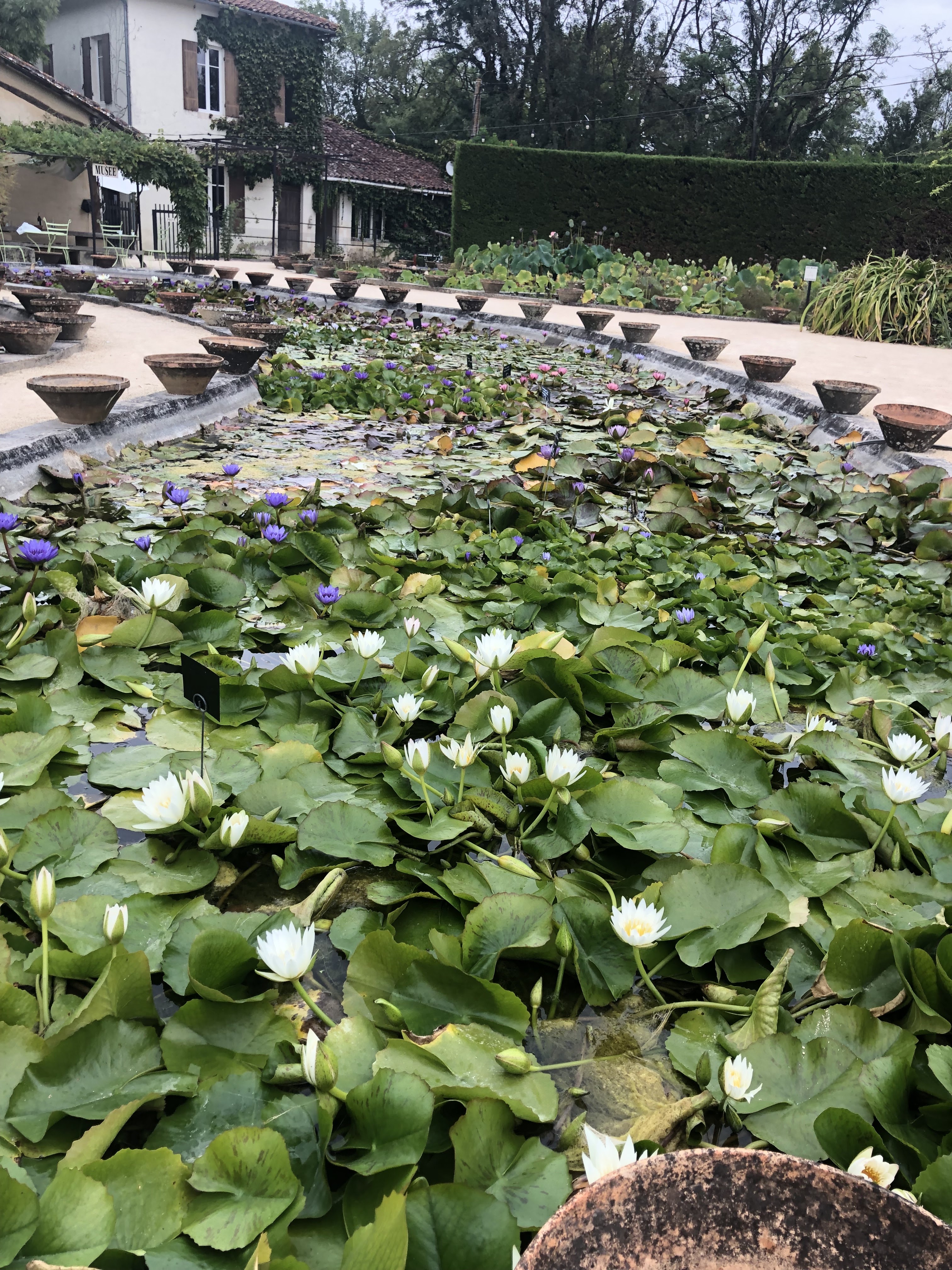 Photo n° 7 de l'avis de Helene.h fait le 24/09/2022 à 16:38