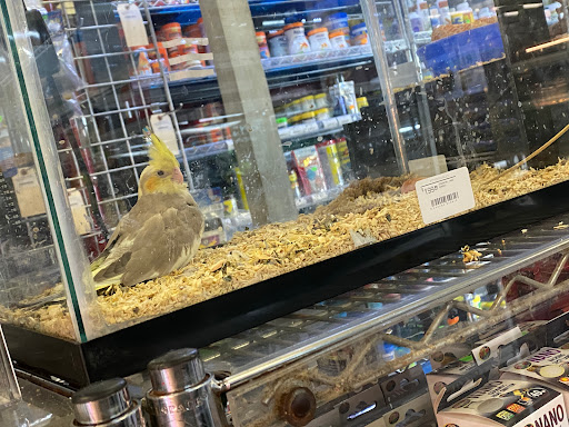 Pet Store «Pet Resources», reviews and photos, 814 Westchester Ave, Bronx, NY 10455, USA