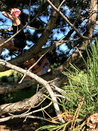 Park «Prestemon Park», reviews and photos, 3900 NE McKinley St, Columbia Heights, MN 55421, USA