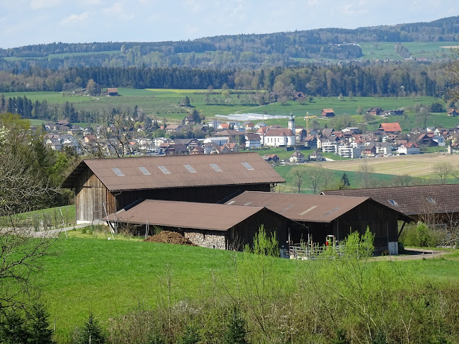 Mattenhof Rotkreuz, Rindfleisch vom Pinzgauerrind - Risch