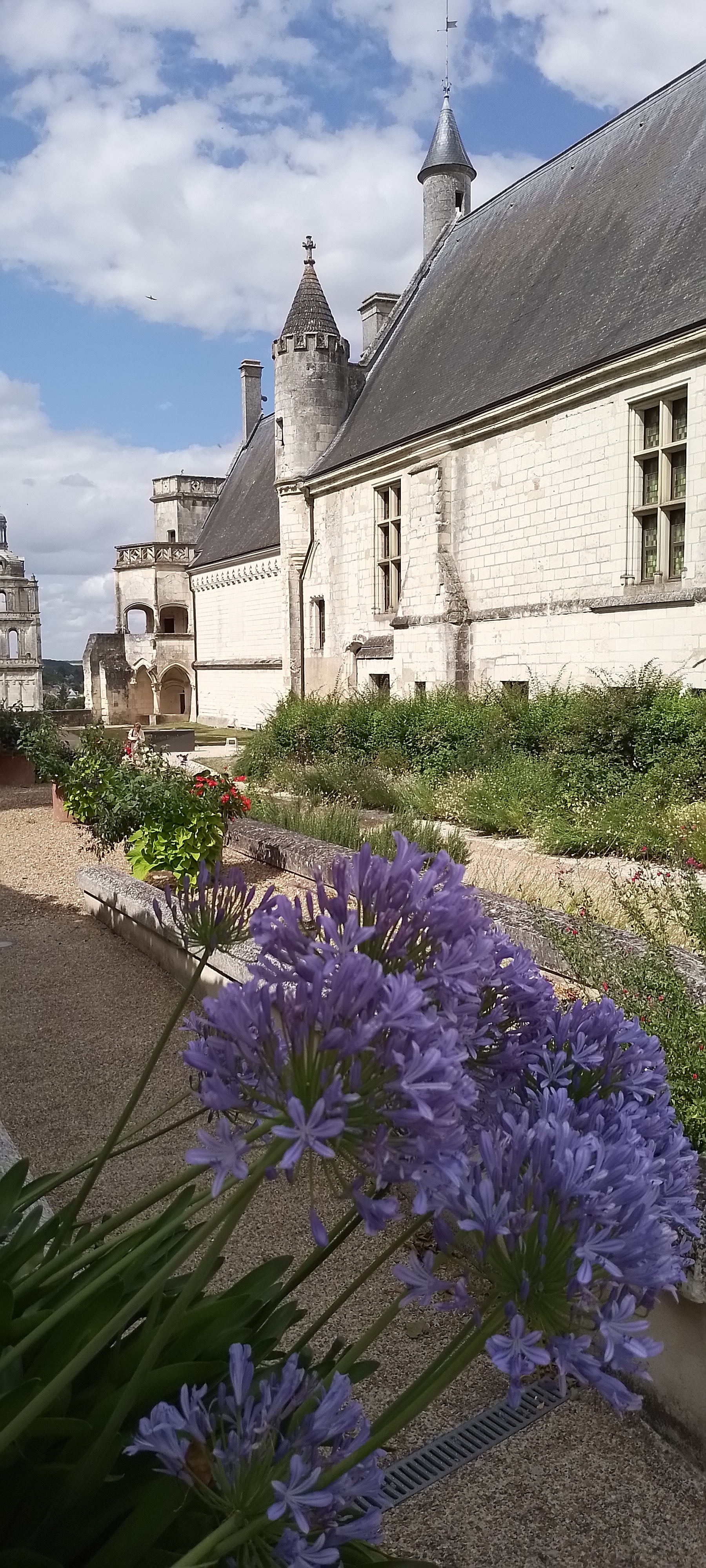 Photo n° 1 de l'avis de Berengere.o fait le 23/07/2023 à 06:56