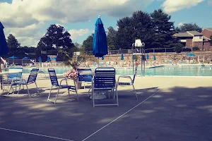 DeerTree pool image