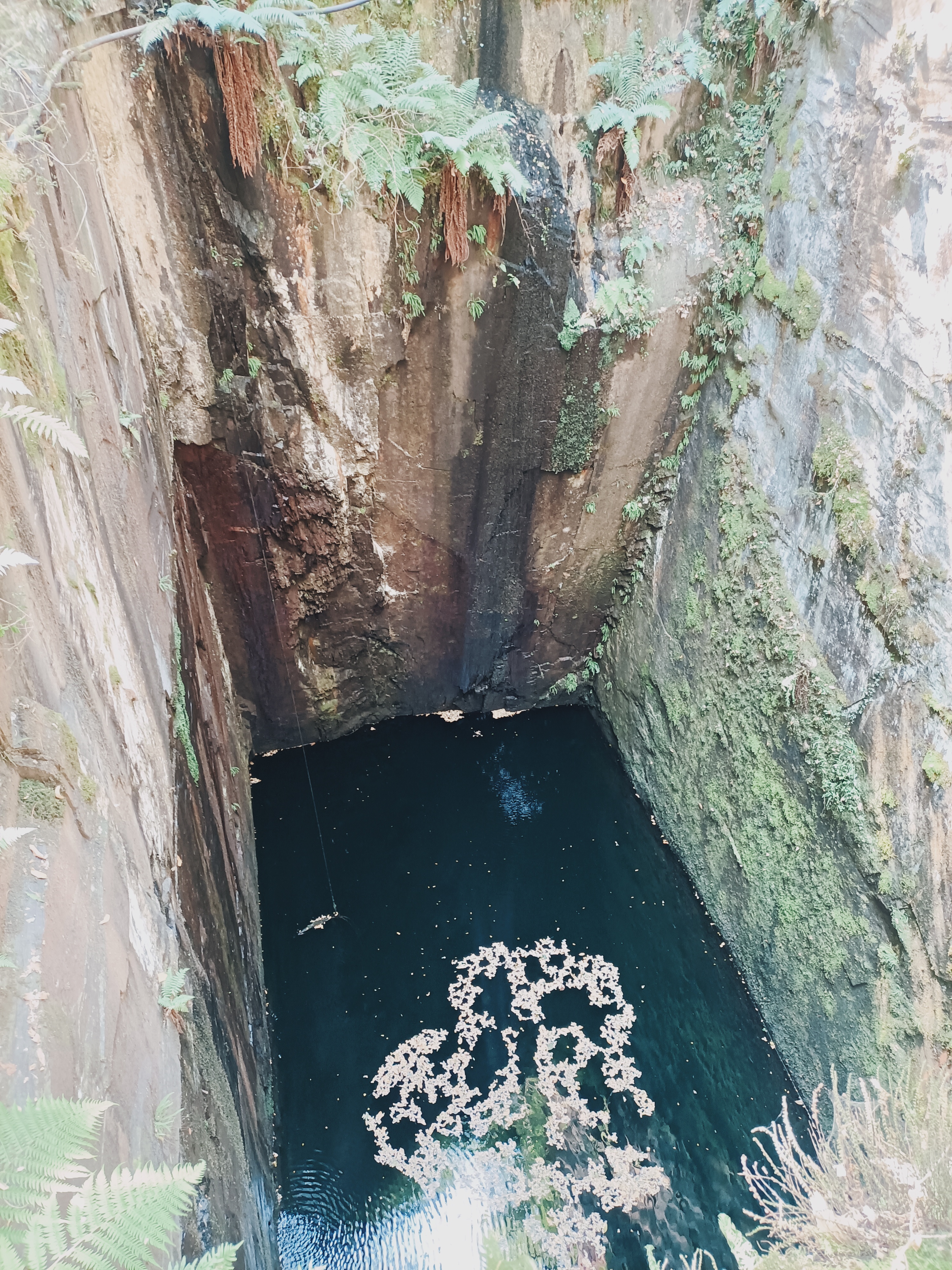 Photo n° 13 de l'avis de Caro.* fait le 22/08/2022 à 17:28