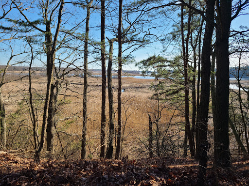 Nature Preserve «Maurice River Bluffs Preserve», reviews and photos, Silver Run Rd, Millville, NJ 08332, USA