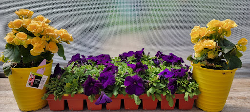 Grocery Store «Meijer», reviews and photos, 1900 W Main St, Troy, OH 45373, USA