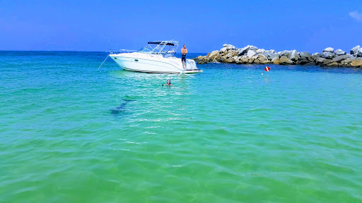 Tourist Attraction «Shell Island Beach», reviews and photos, 4607 State Park Ln, Panama City, FL 32408, USA