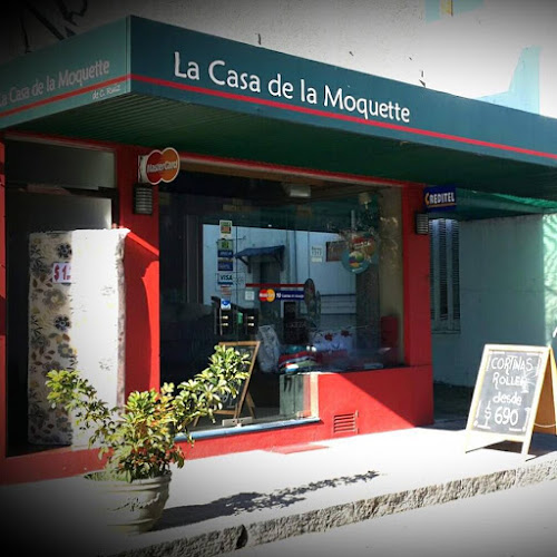 La Casa de la Moquette - Colonia