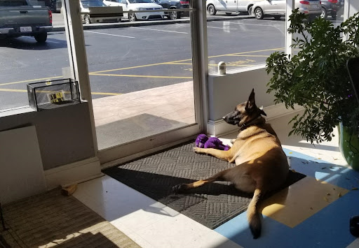 Computer Repair Service «Your Computer Friends», reviews and photos, 3818 Oleander Dr, Wilmington, NC 28403, USA