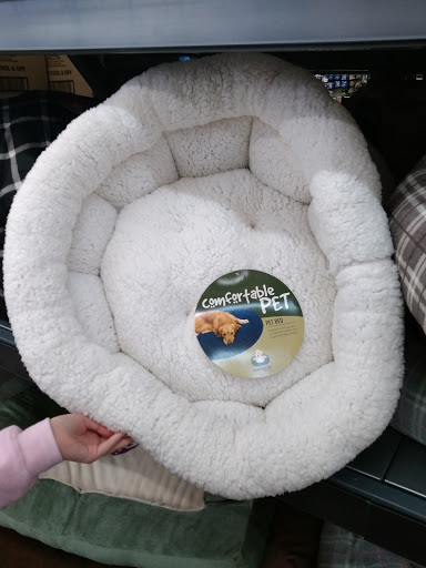 Grocery Store «Grocery Outlet Bargain Market», reviews and photos, 2100 Harrison Ave NW, Olympia, WA 98502, USA