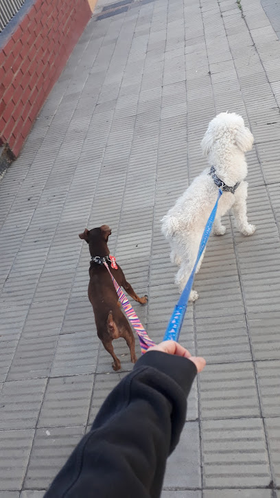 Entre Patas Pet Shop y Guardería Canina.