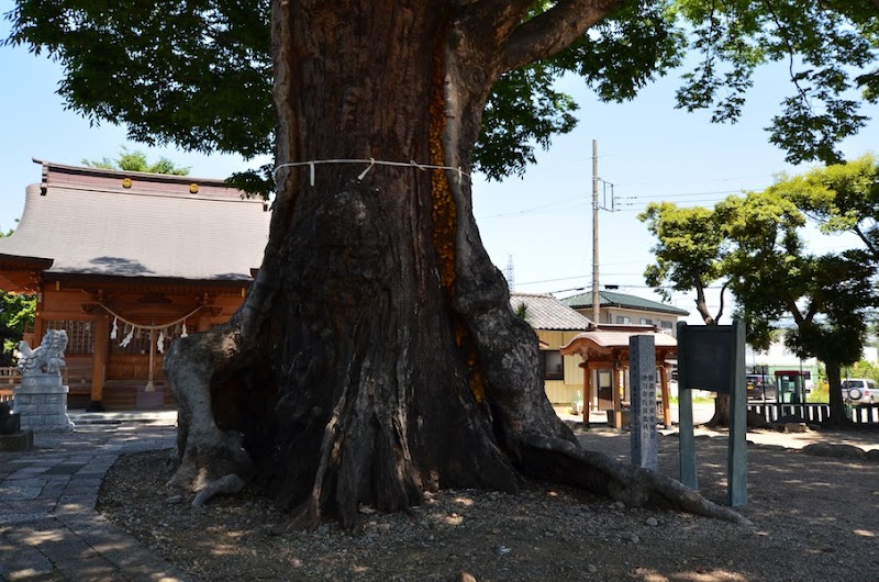 早尾神社