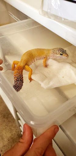 Pet Supply Store «Pet Bazaar», reviews and photos, 490 FL-436, Casselberry, FL 32707, USA