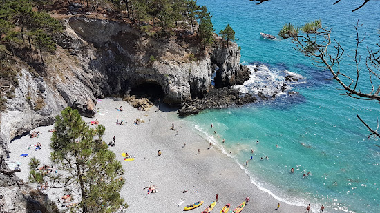 Plage de l'ile Vierge