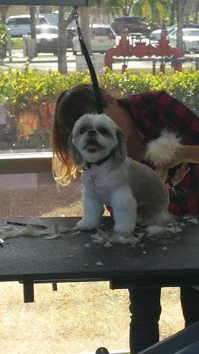 Pet Supply Store «Pet Supplies Plus», reviews and photos, 15880 San Carlos Blvd Ste 190, Fort Myers, FL 33908, USA