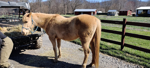 Wedding Venue «Hidden River Events», reviews and photos, 30 Hidden River Dr, Swannanoa, NC 28778, USA