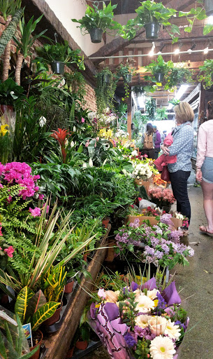 Florist «Brattle Square Florist», reviews and photos, 31 Brattle St, Cambridge, MA 02138, USA