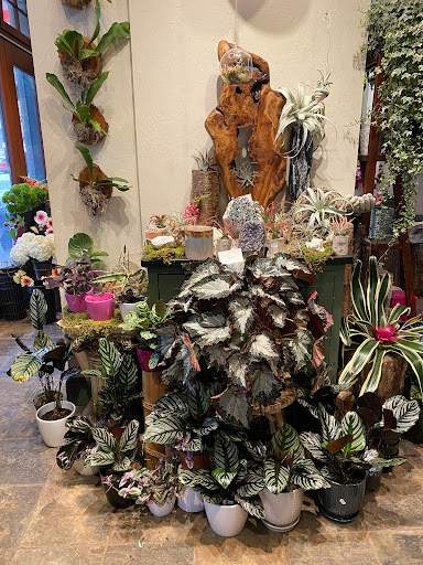 Florist «Fern by Boston Rose Florist», reviews and photos, 225 Massachusetts Ave, Boston, MA 02115, USA