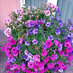 Photo n°2 de l'avis de Elena.� fait le 16/09/2021 à 13:35 sur le  Casez Apparthotel à Casez