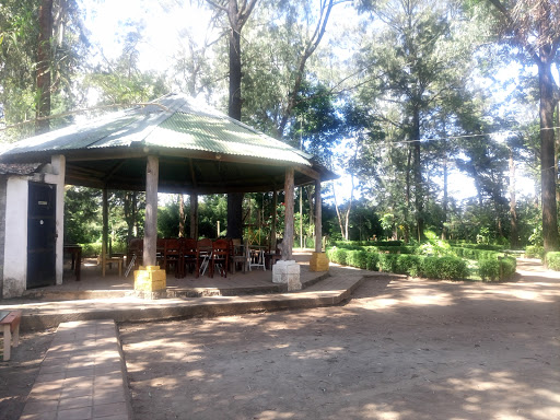 Ciudad Nueva Ecological Park