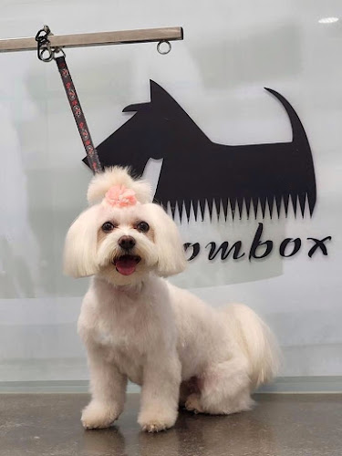 Groombox - Κομμωτήριο Σκύλων - Pet Shop - Εκπαιδευτής σκύλου