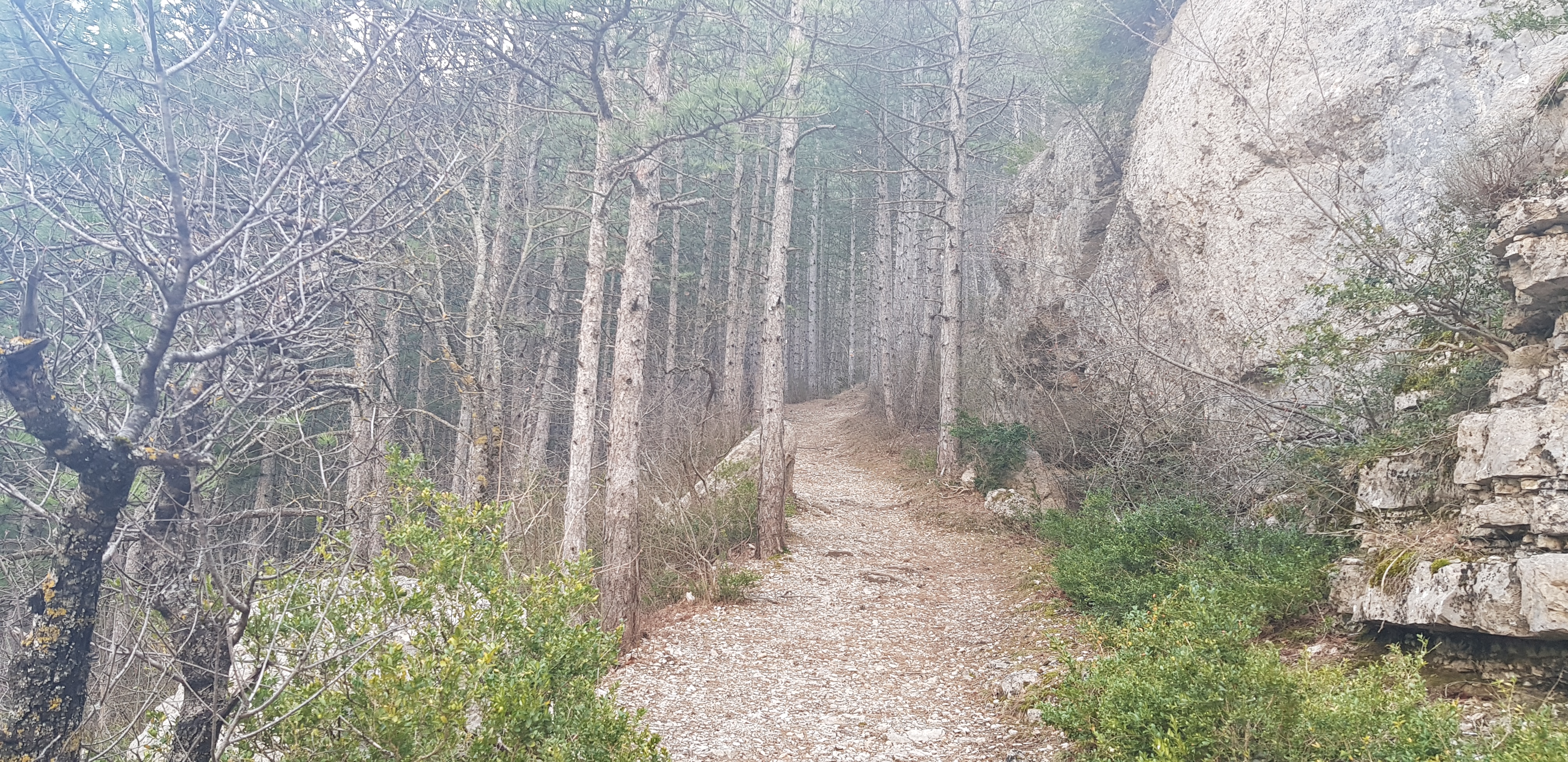 Photo n° 4 de l'avis de Mr. fait le 16/02/2019 à 17:14