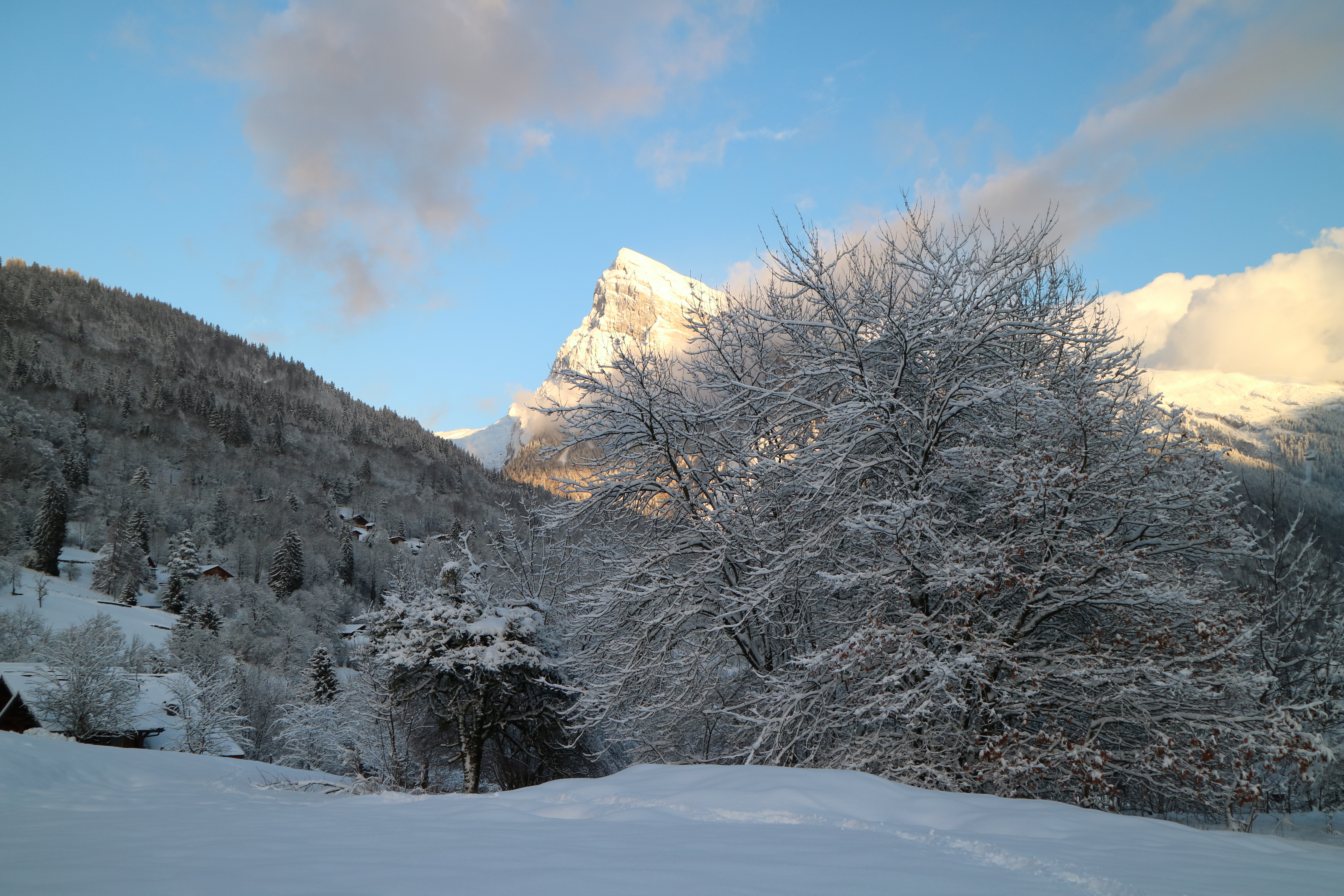 Photo n° 1 de l'avis de Valentin. fait le 30/12/2017 à 20:21