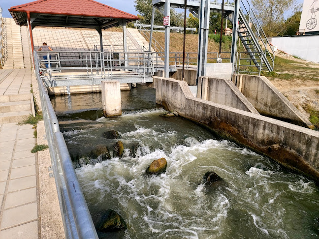 Értékelések erről a helyről: Tisza Tavi Hallépcső, Abádszalók - Múzeum