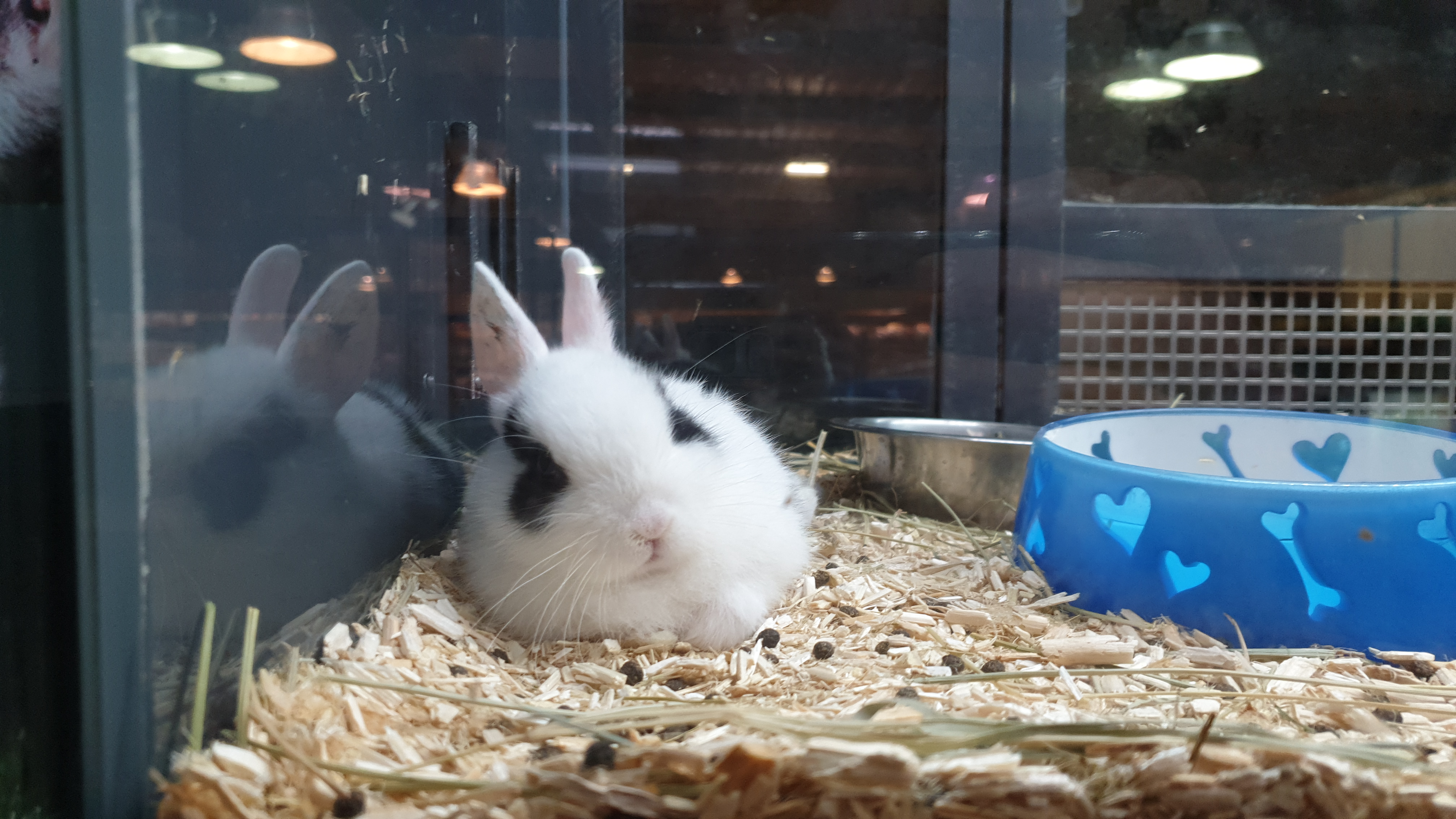 Photo n° 1 de l'avis de Romain.I fait le 09/06/2019 à 15:57