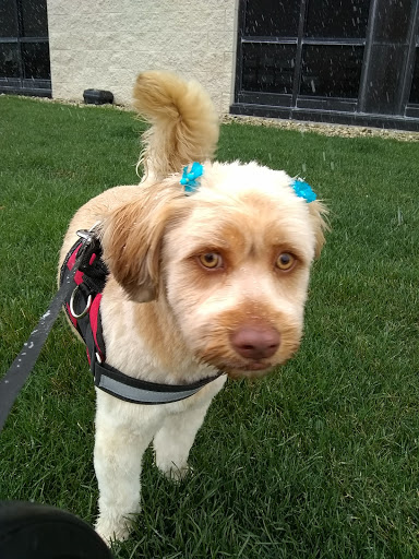 Pet Supply Store «PetSmart», reviews and photos, 2113 E Geneva St, Delavan, WI 53115, USA