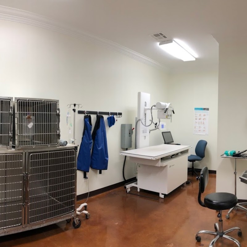 Wags & Whiskers Veterinary Hospital