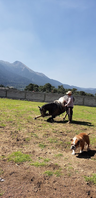 Centro Caballar Covadonga