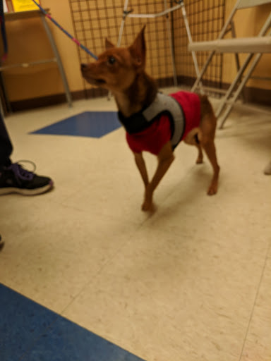 Pet Store «Petsense Pine Bluff», reviews and photos, 5514 S Olive St, Pine Bluff, AR 71603, USA