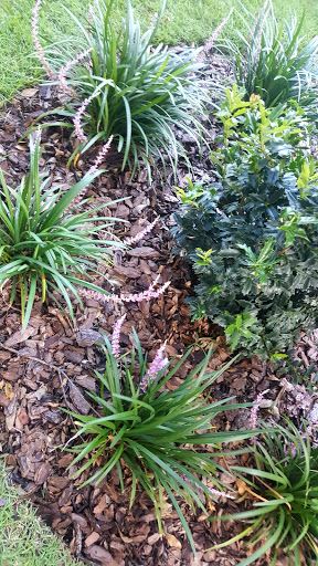 Golf Club «Lake Bess Golf Club», reviews and photos, 218 Golf Aire Blvd, Winter Haven, FL 33884, USA