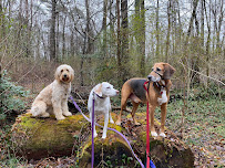 Roam & Home - Photo 8 - Car repair in , Roanoke