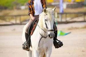 Happy Horse Riding Academy image