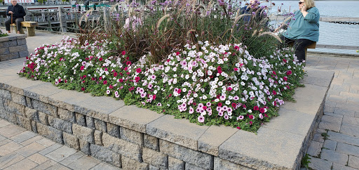 Whale Watching Tour Agency «Bar Harbor Whale Watch Co», reviews and photos, 1 West St, Bar Harbor, ME 04609, USA