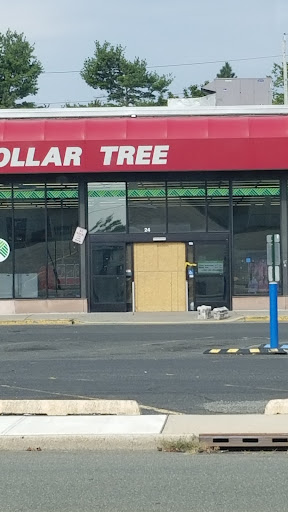 Dollar Store «Dollar Tree», reviews and photos, 24 Portland Ave, Bergenfield, NJ 07621, USA